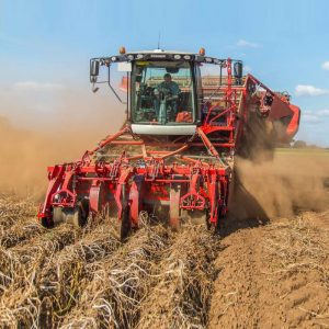 Potato-harvesting1